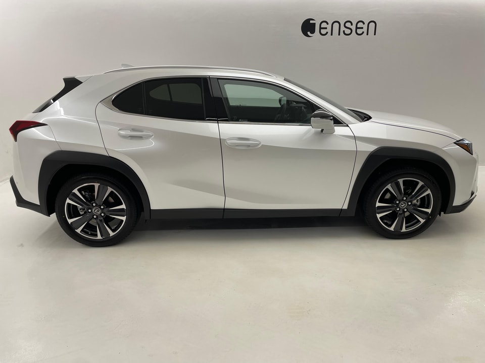 UX 250h Comfort E-FOUR Voll-Hybrid