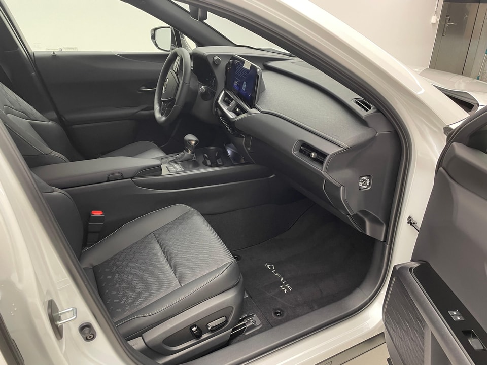 UX 250h Comfort E-FOUR Voll-Hybrid