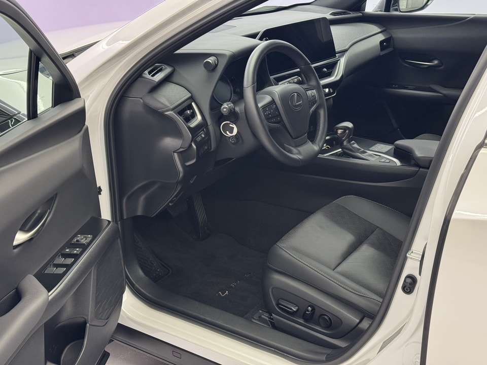 UX 250h Comfort E-FOUR Voll-Hybrid