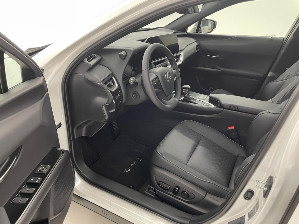 UX 250h Comfort E-FOUR Voll-Hybrid