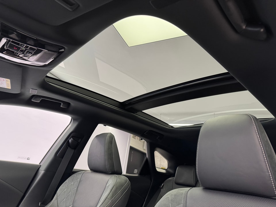 RX 450h+ Excellence E-FOUR Plug-in-Hybrid