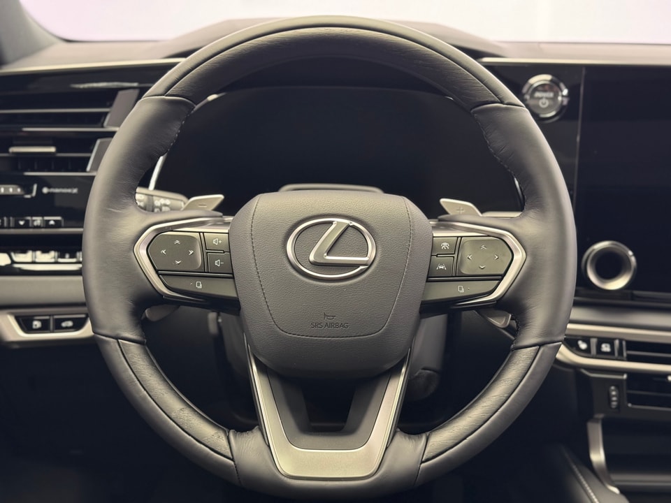 RX 450h+ Excellence E-FOUR Plug-in-Hybrid