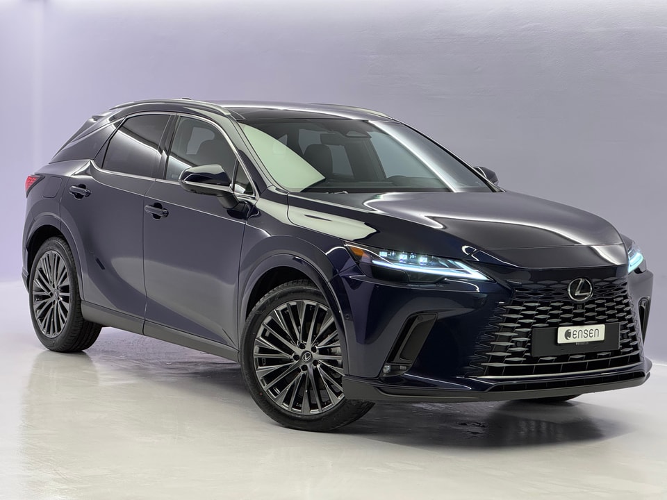 RX 450h+ Excellence E-FOUR Plug-in-Hybrid