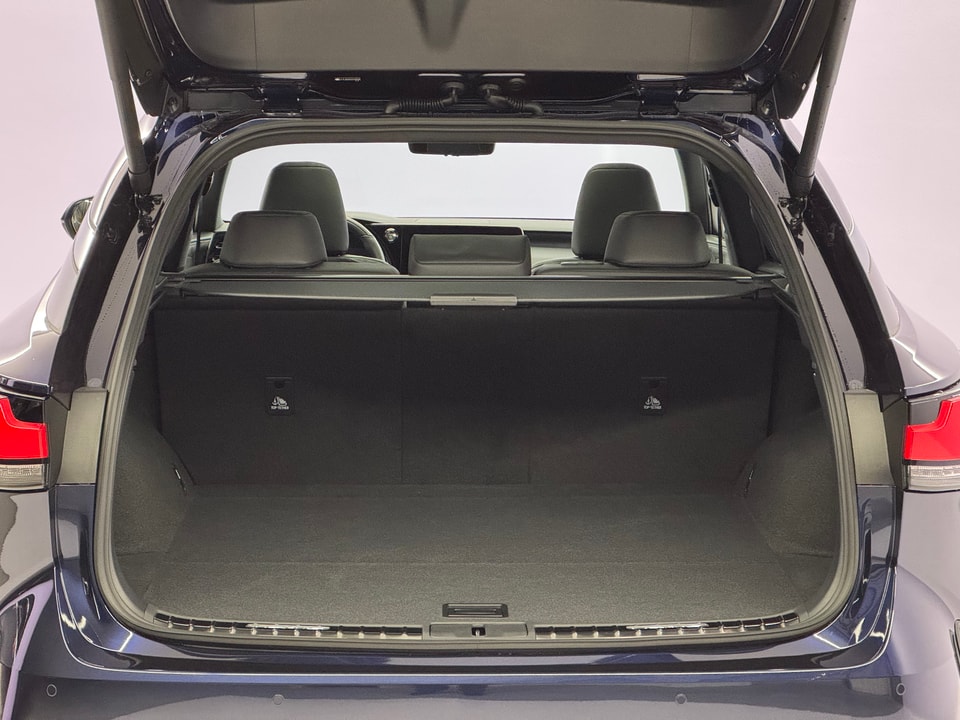 RX 450h+ Excellence E-FOUR Plug-in-Hybrid