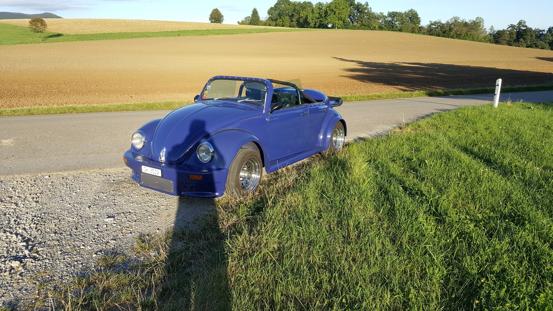 VW Käfer-image-1