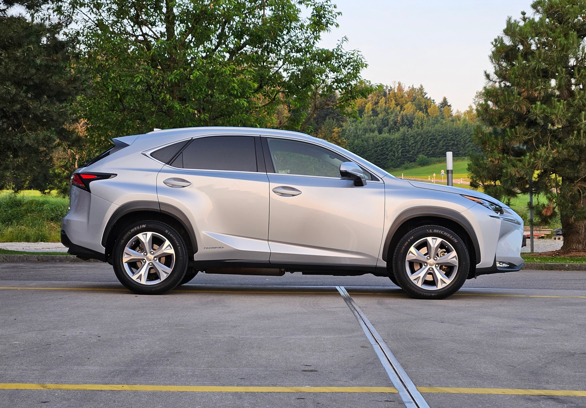 LEXUS NX 300h excellence E-Four Automatic-image-4