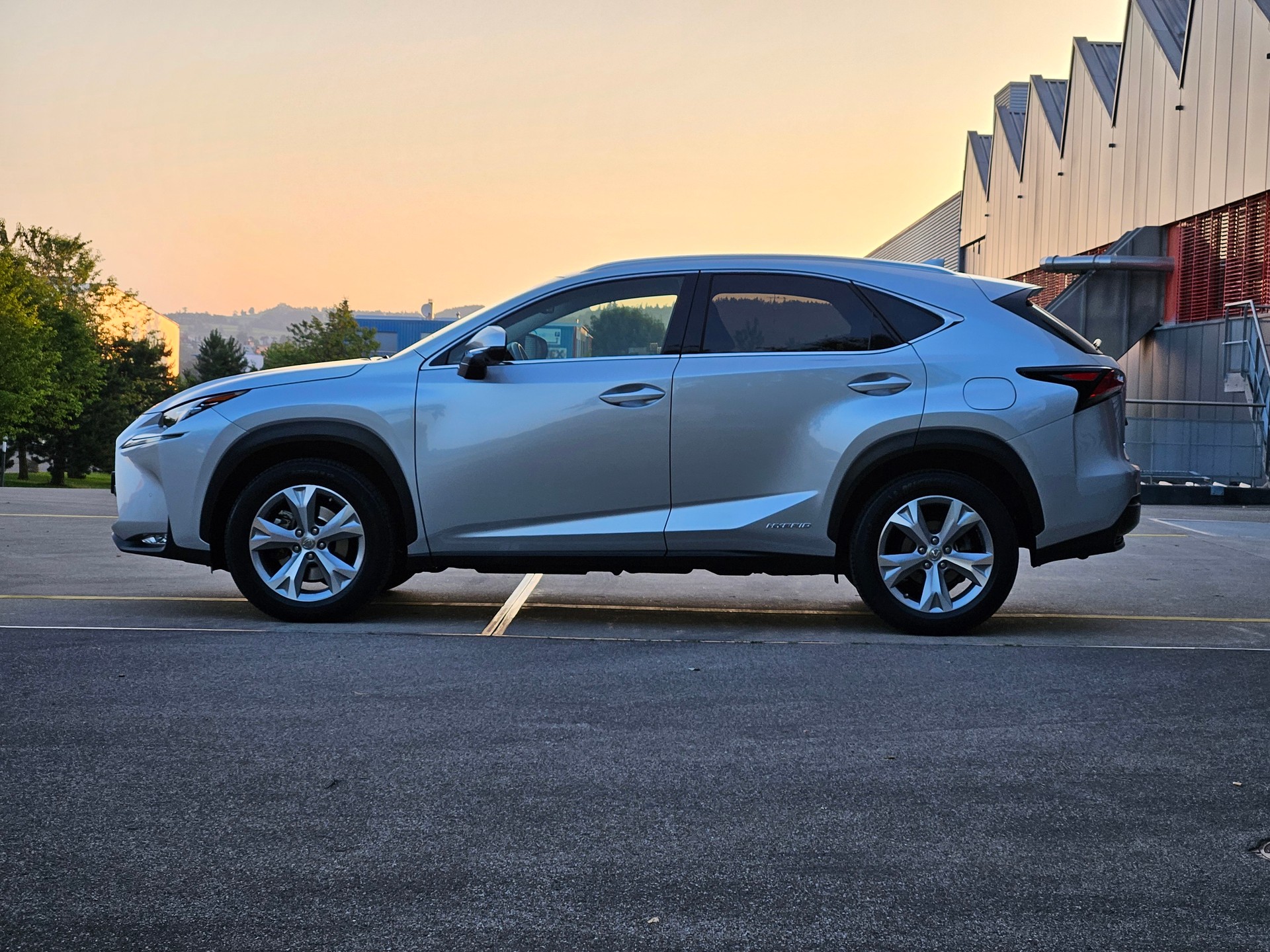 LEXUS NX 300h excellence E-Four Automatic-image-5