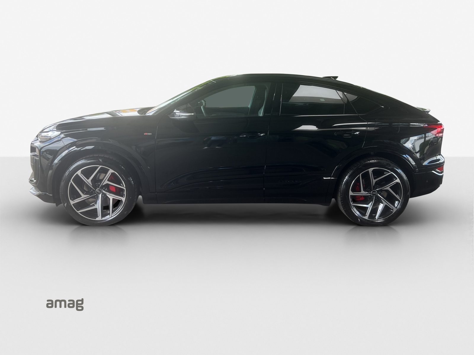 AUDI Q6 Sportback e-tron quattro-showroom-element-1