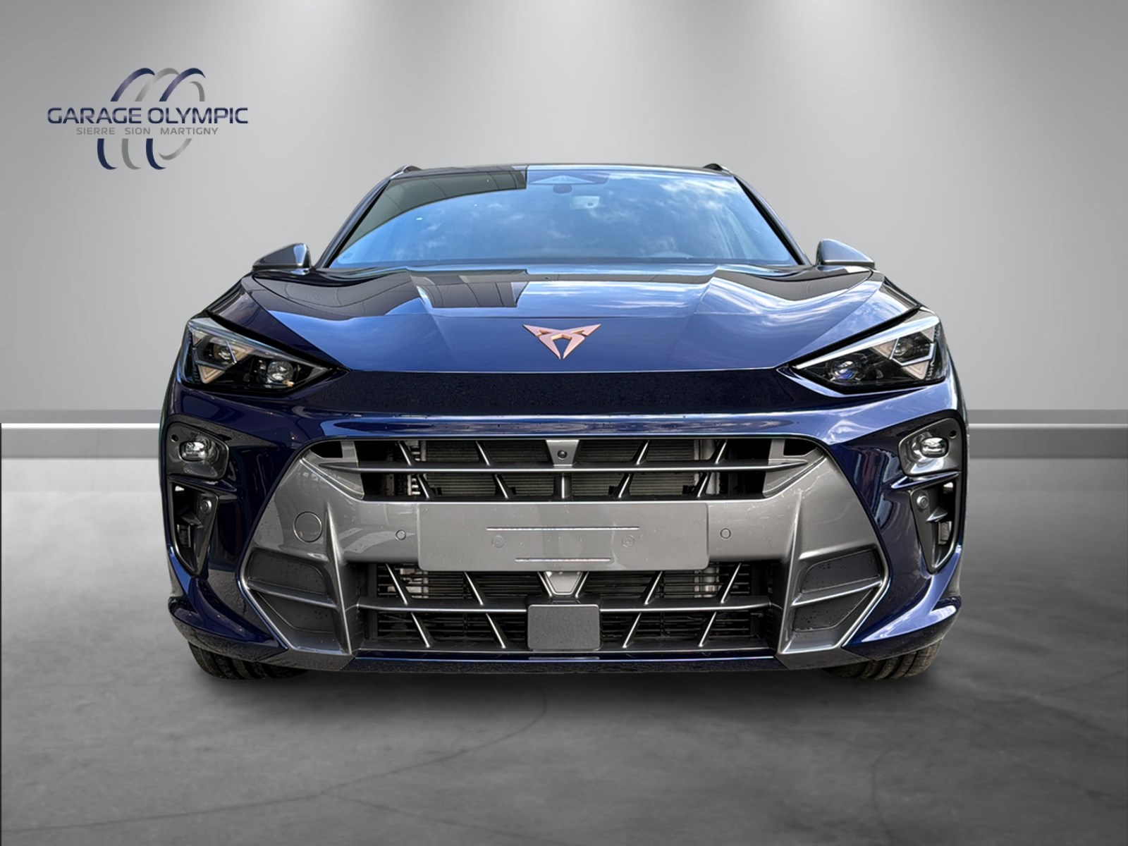CUPRA Terramar 2.0 TSI DSG 4Drive VZ-showroom-element-1
