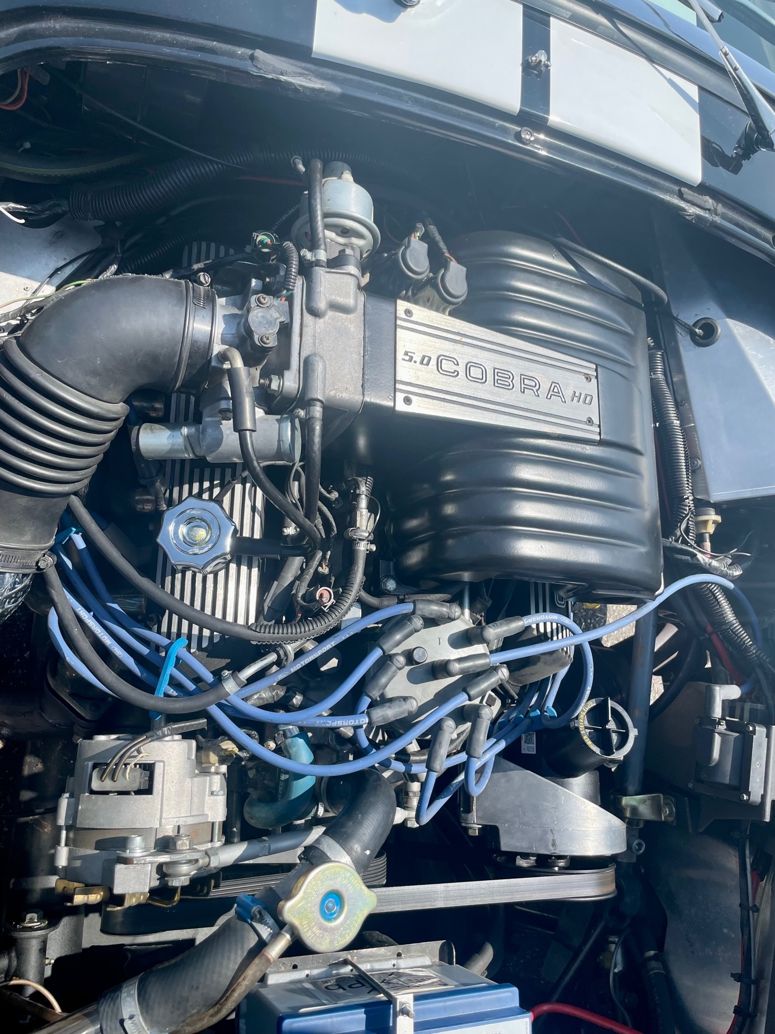 AC AC Cobra HS V8 with Homologation-image-9