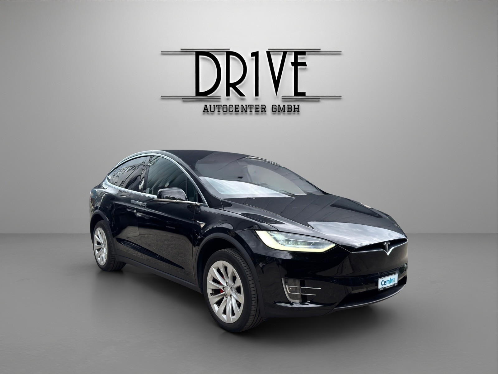 TESLA Model X Performance-showroom-element-2