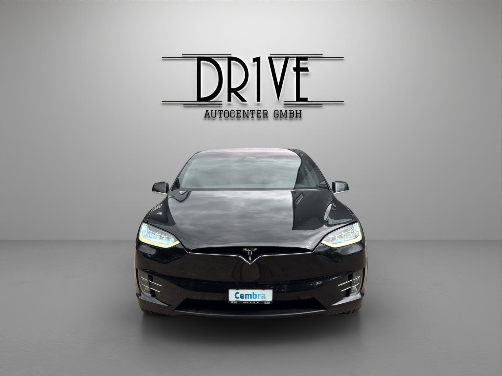 TESLA Model X Performance-showroom-element-1