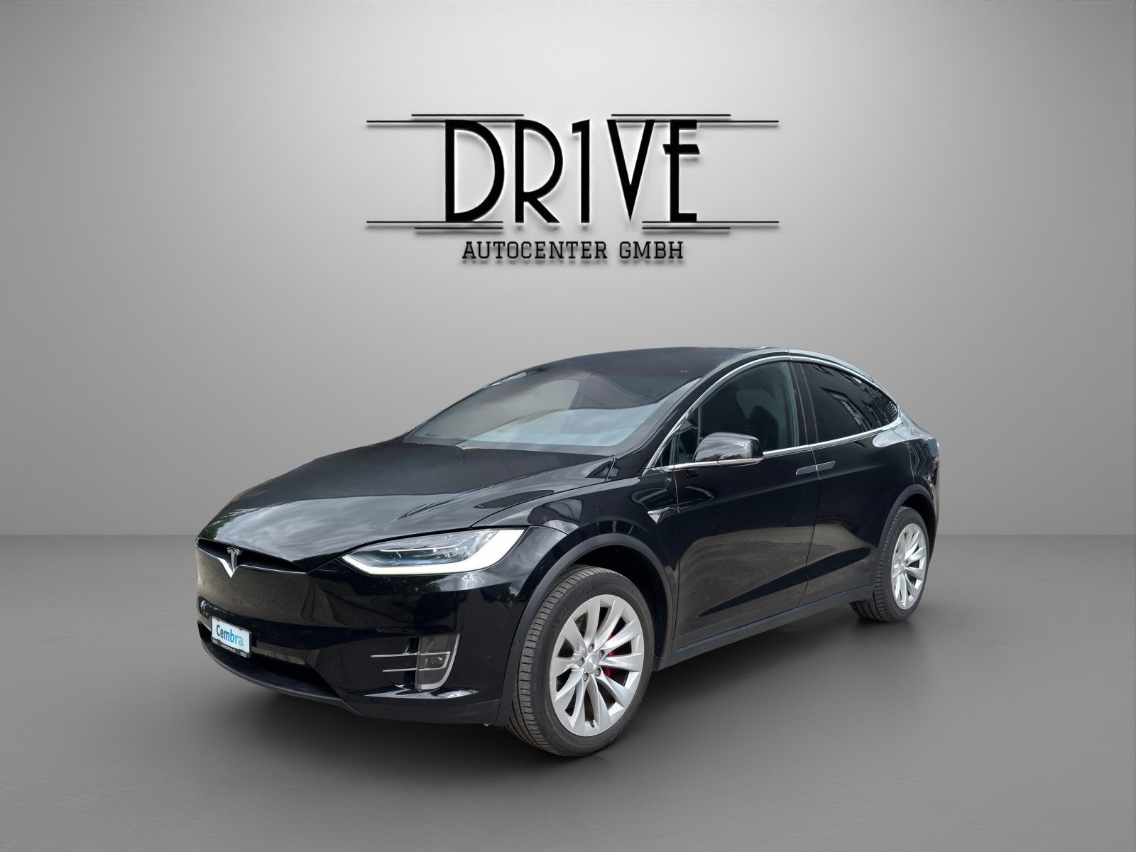 TESLA Model X Performance