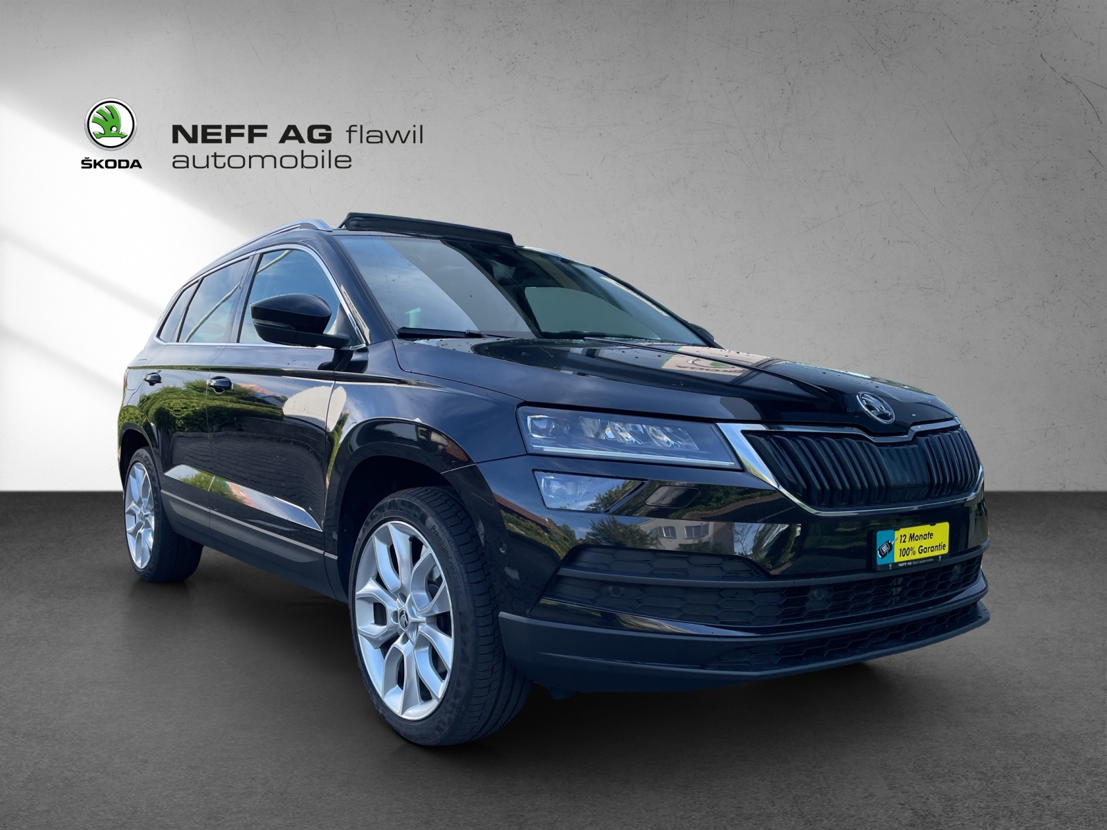 SKODA Karoq 2.0 (SUV / GelÃ¤ndewagen)