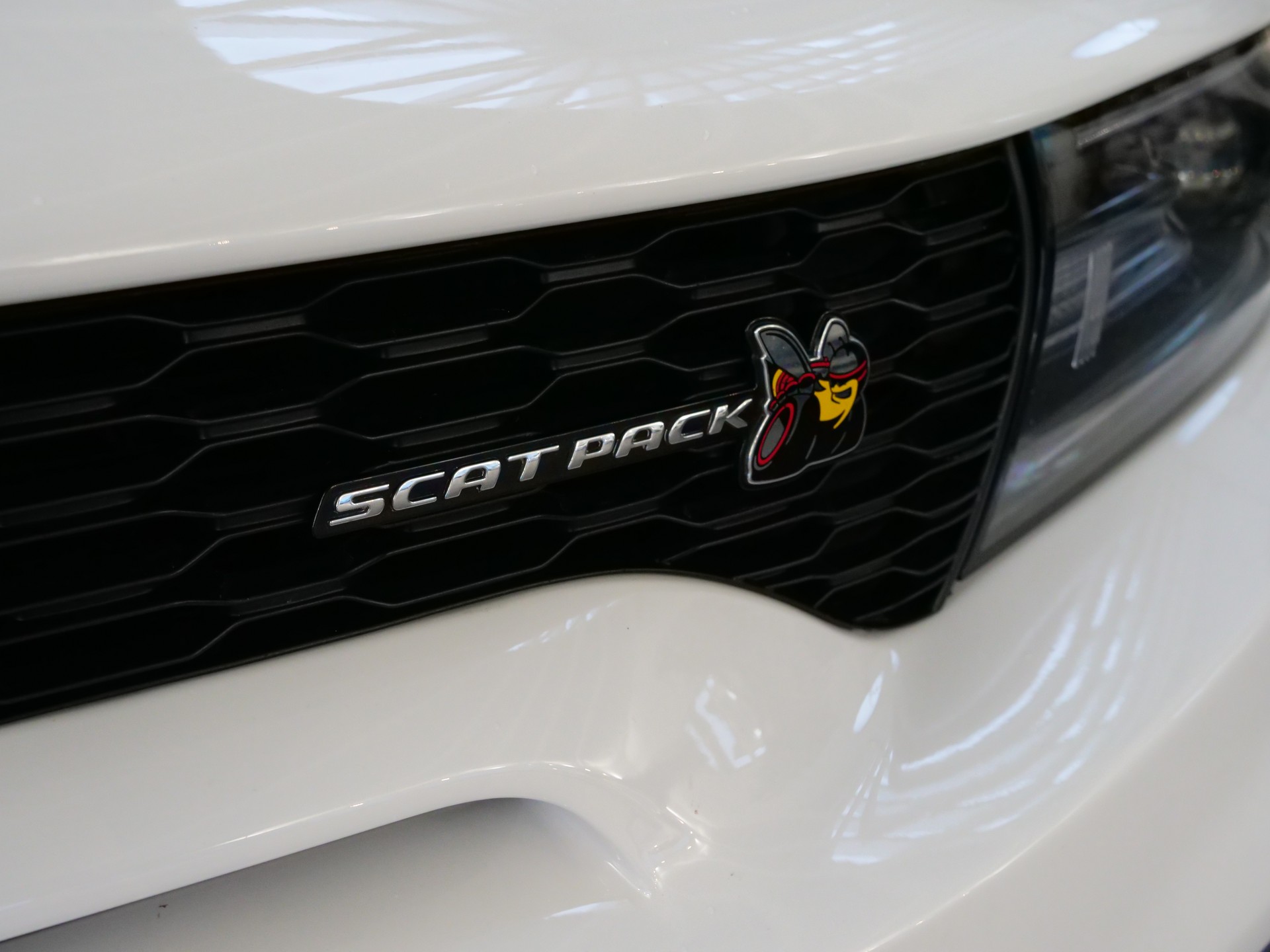 DODGE Charger ScatPack & Original Widebody-image-15