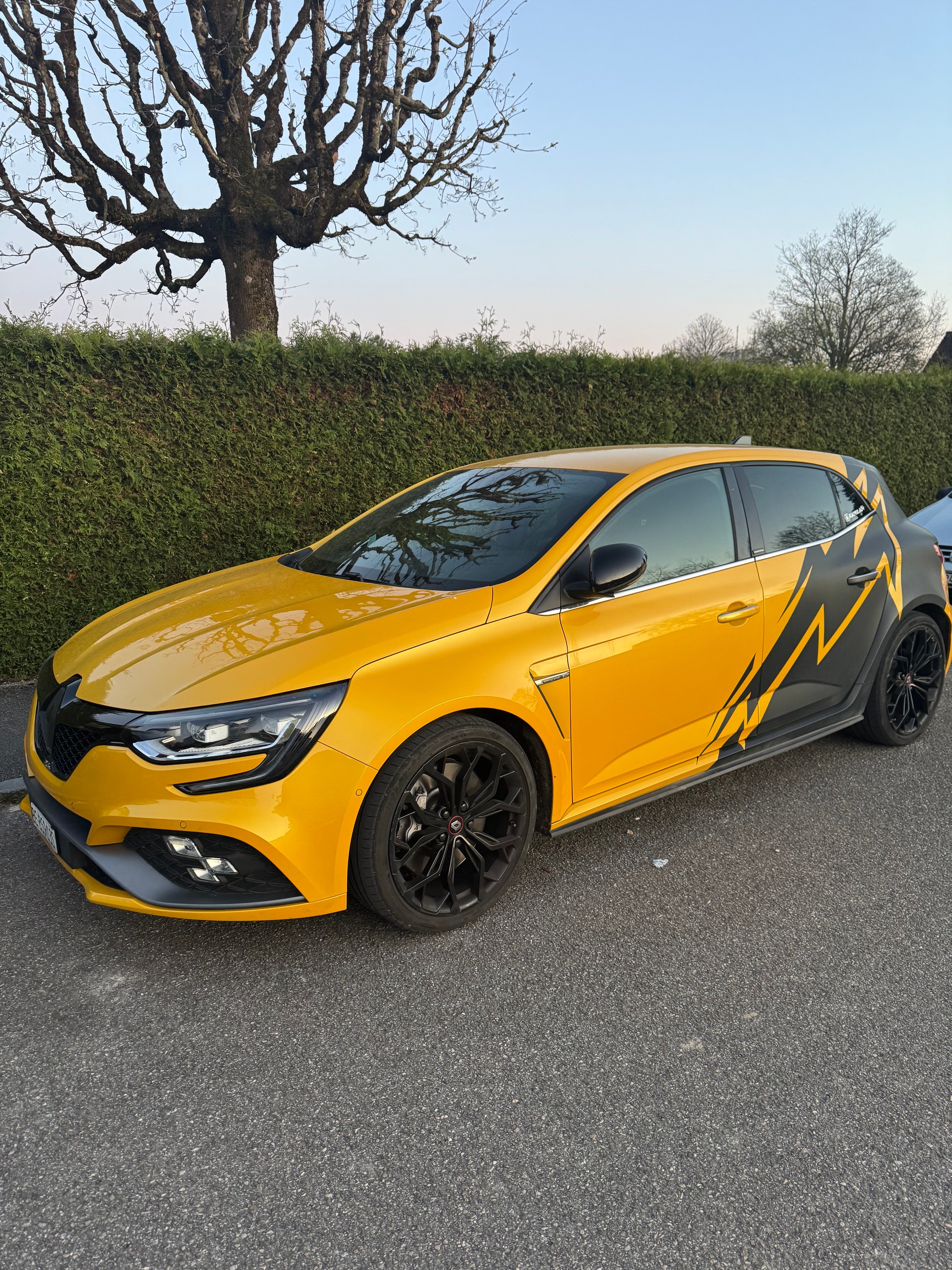 RENAULT Mégane RS 280 EDC