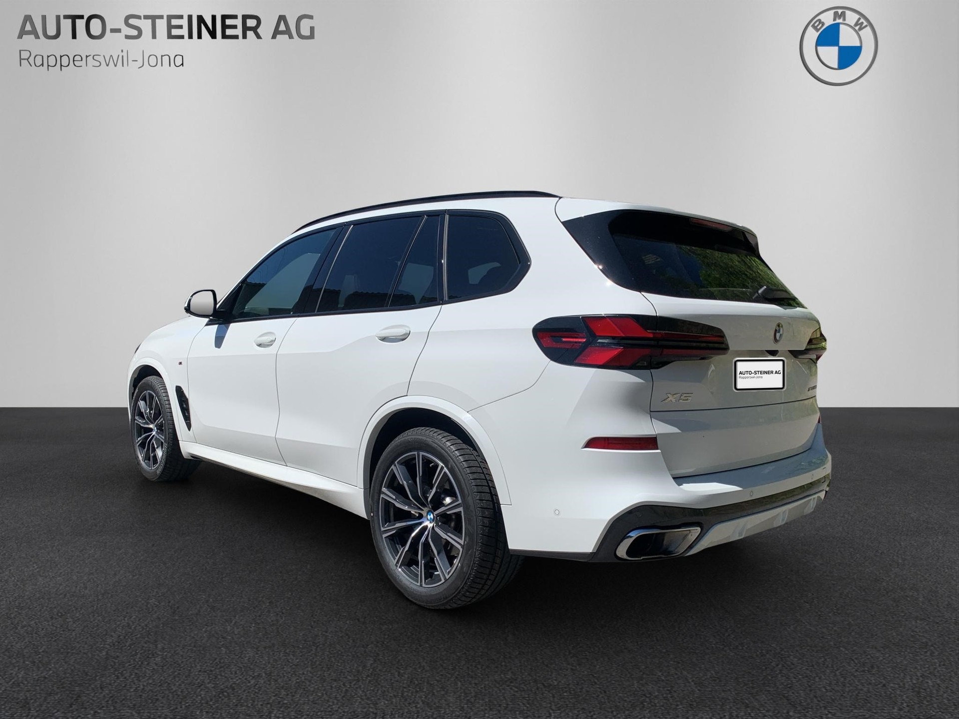BMW X5 xDrive 48V 30d M Sport Steptronic-showroom-element-2