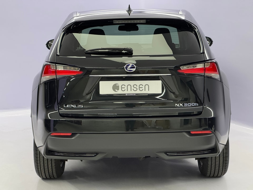 NX 300h Excellence AWD Voll-Hybrid
