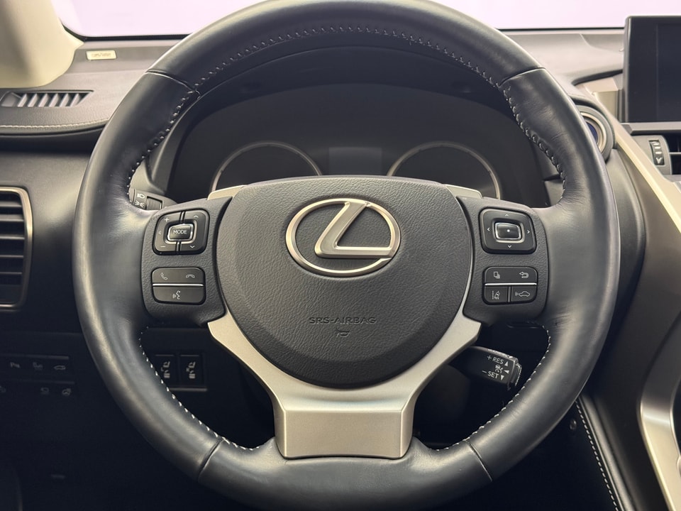 NX 300h Excellence AWD Voll-Hybrid