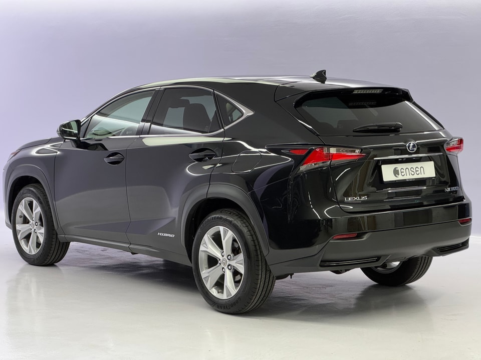 NX 300h Excellence AWD Voll-Hybrid