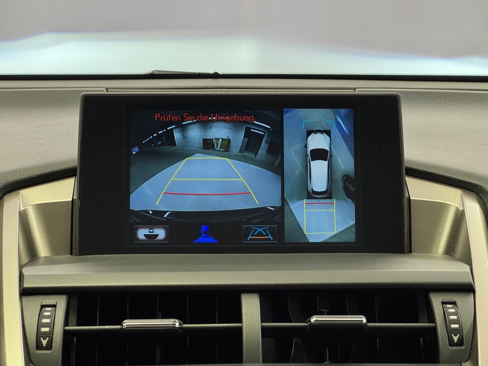 NX 300h Excellence AWD Voll-Hybrid