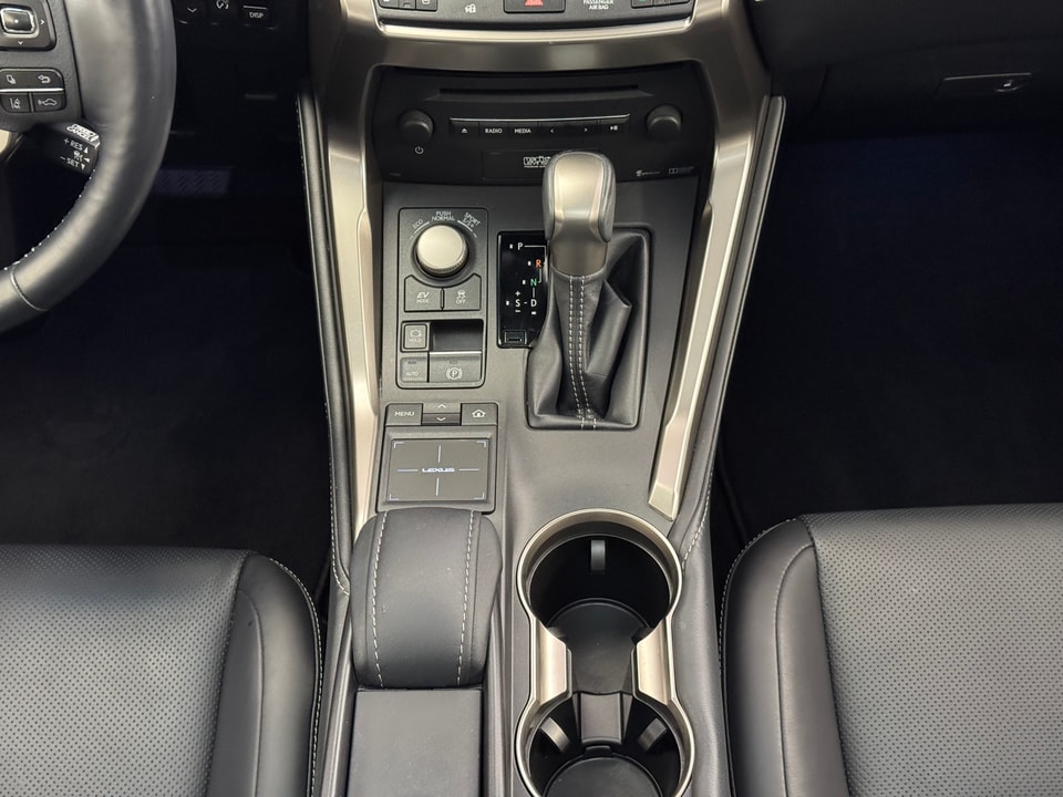 NX 300h Excellence AWD Voll-Hybrid