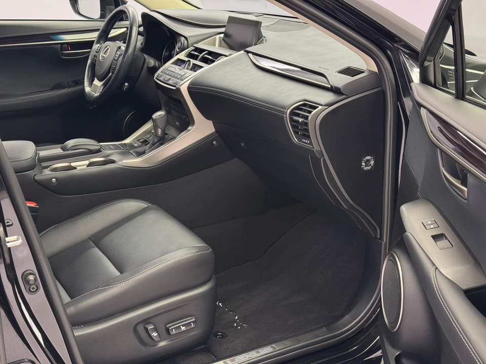 NX 300h Excellence AWD Voll-Hybrid