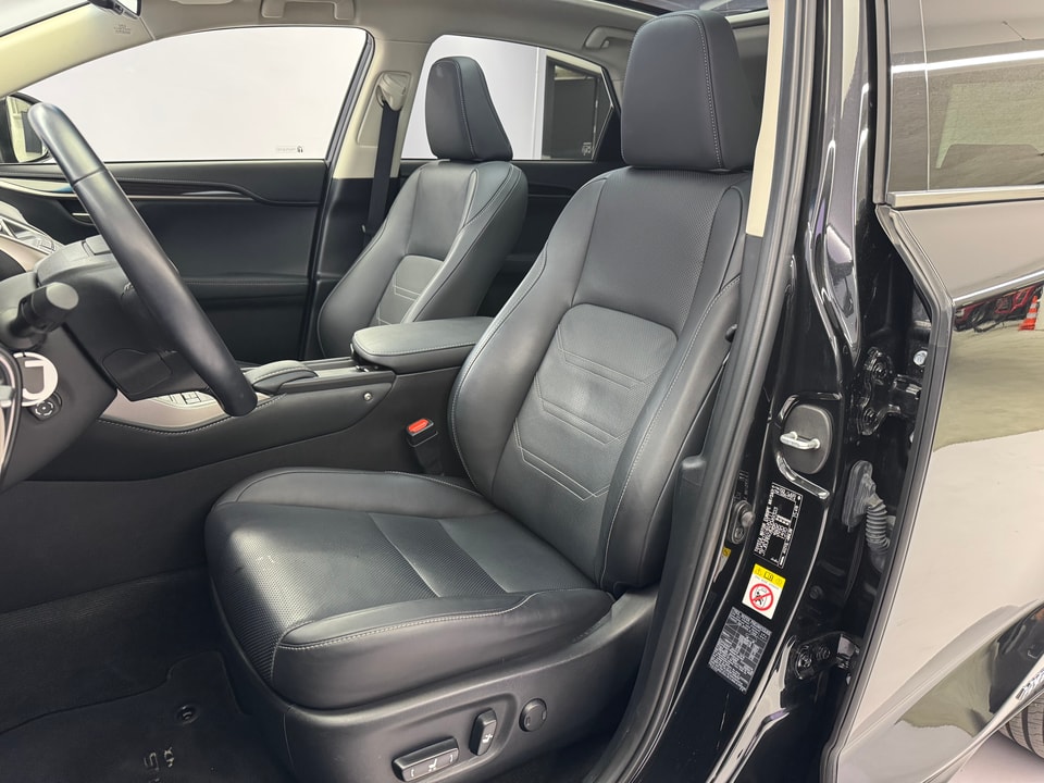 NX 300h Excellence AWD Voll-Hybrid