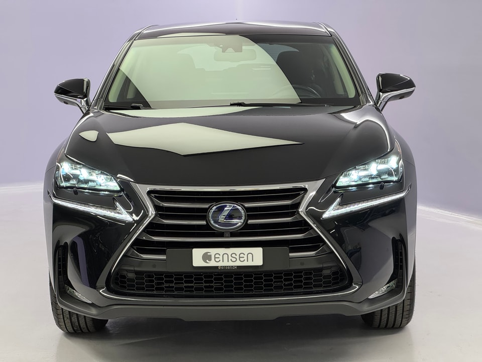 NX 300h Excellence AWD Voll-Hybrid