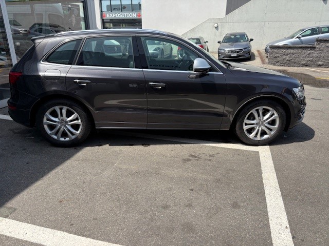 AUDI SQ5 3.0 V6 Bi-TDI quattro T-Tronic-showroom-element-2