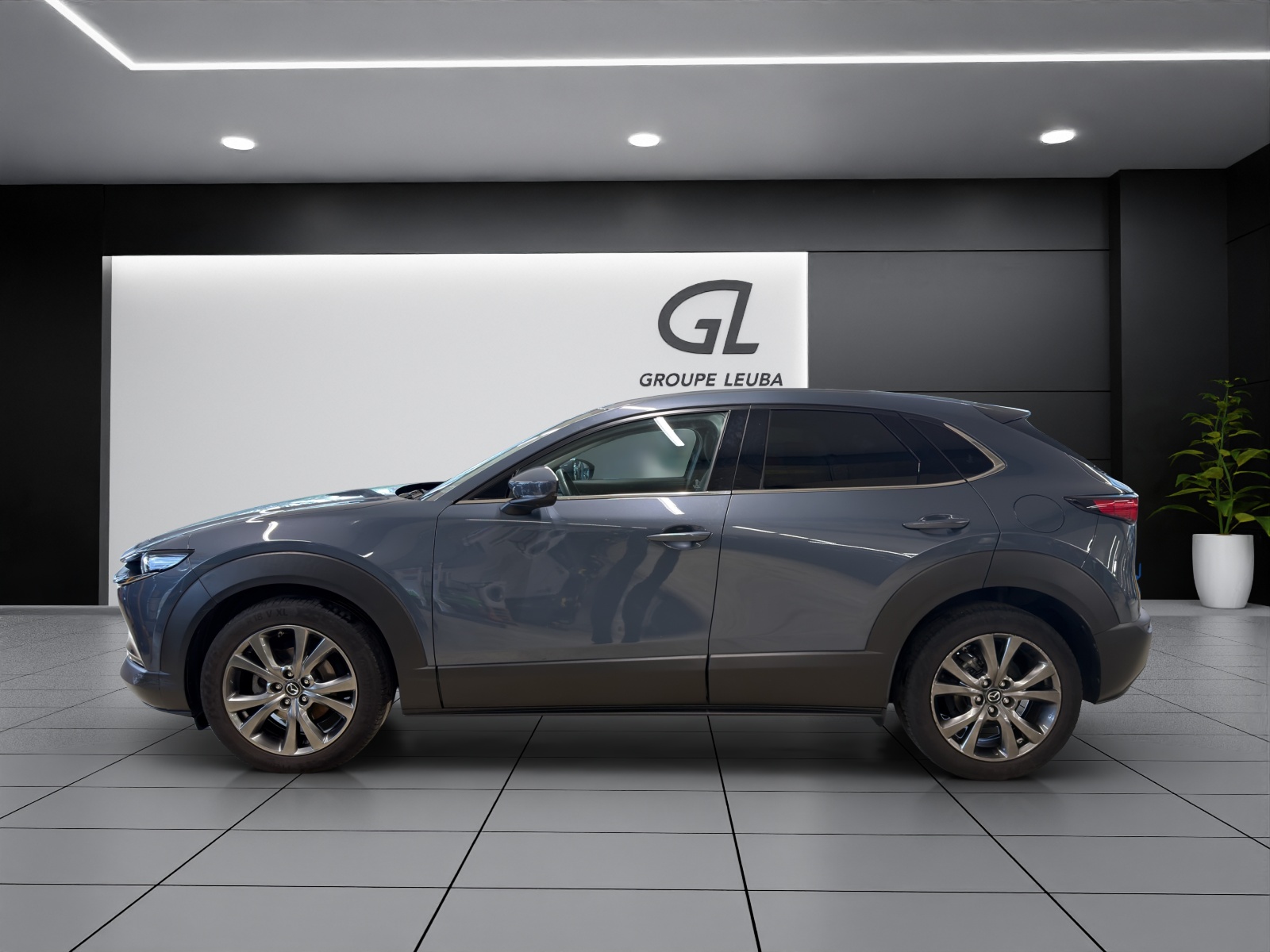 Image MAZDA CX-30 CX-30 X 180 Revolution