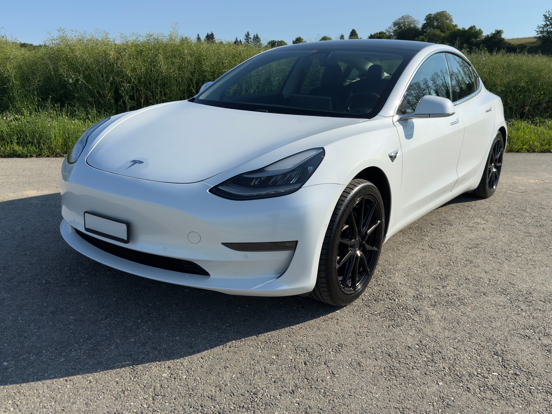 TESLA Model 3 Long Range Dual Motor AWD