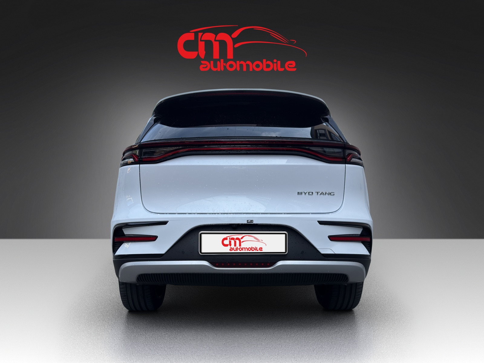 BYD TANG FLAGHSIP 7Pl. 4x4-showroom-element-3