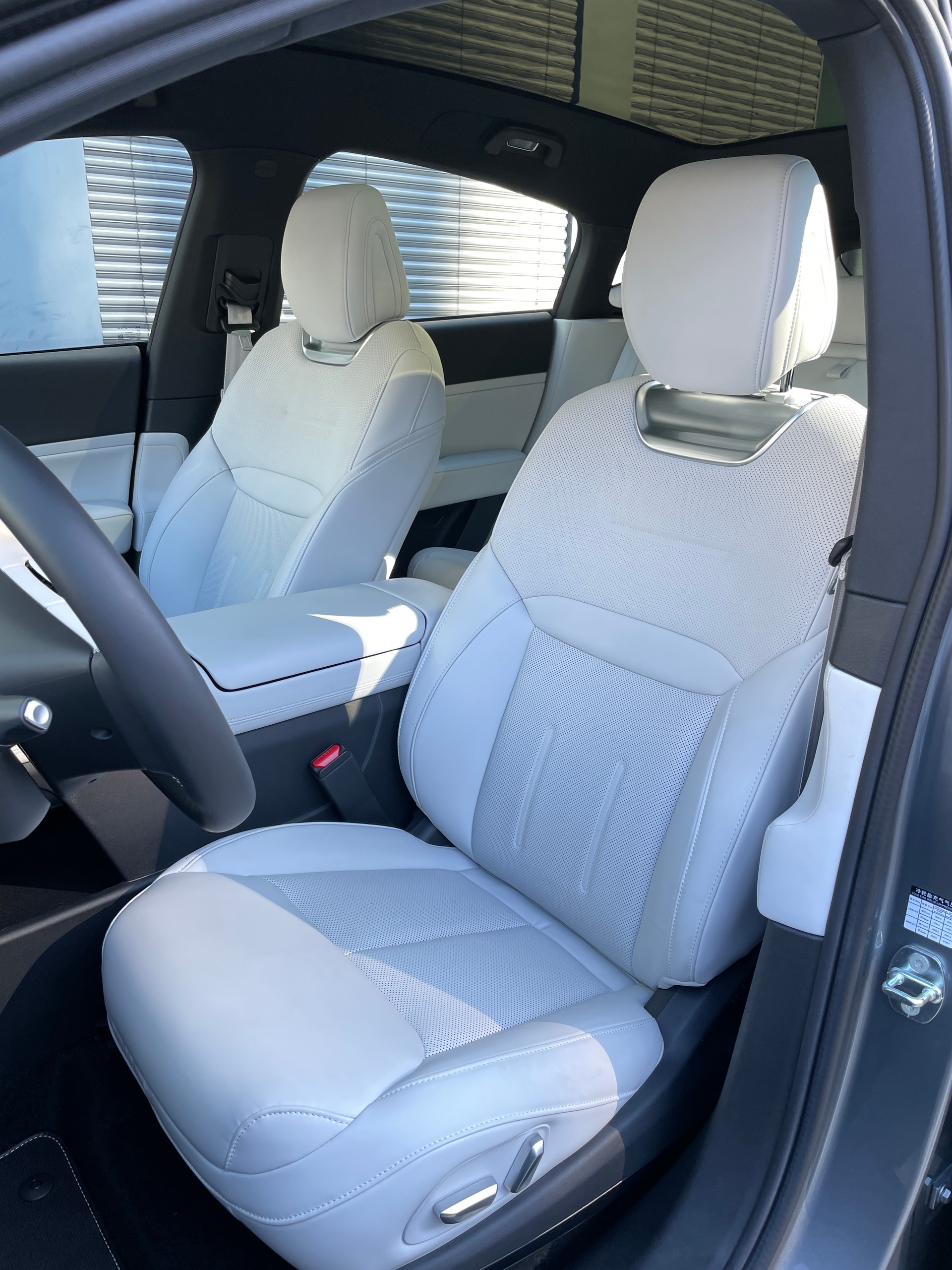 XPENG G6 Performance AWD 87.5 kWh-image-12