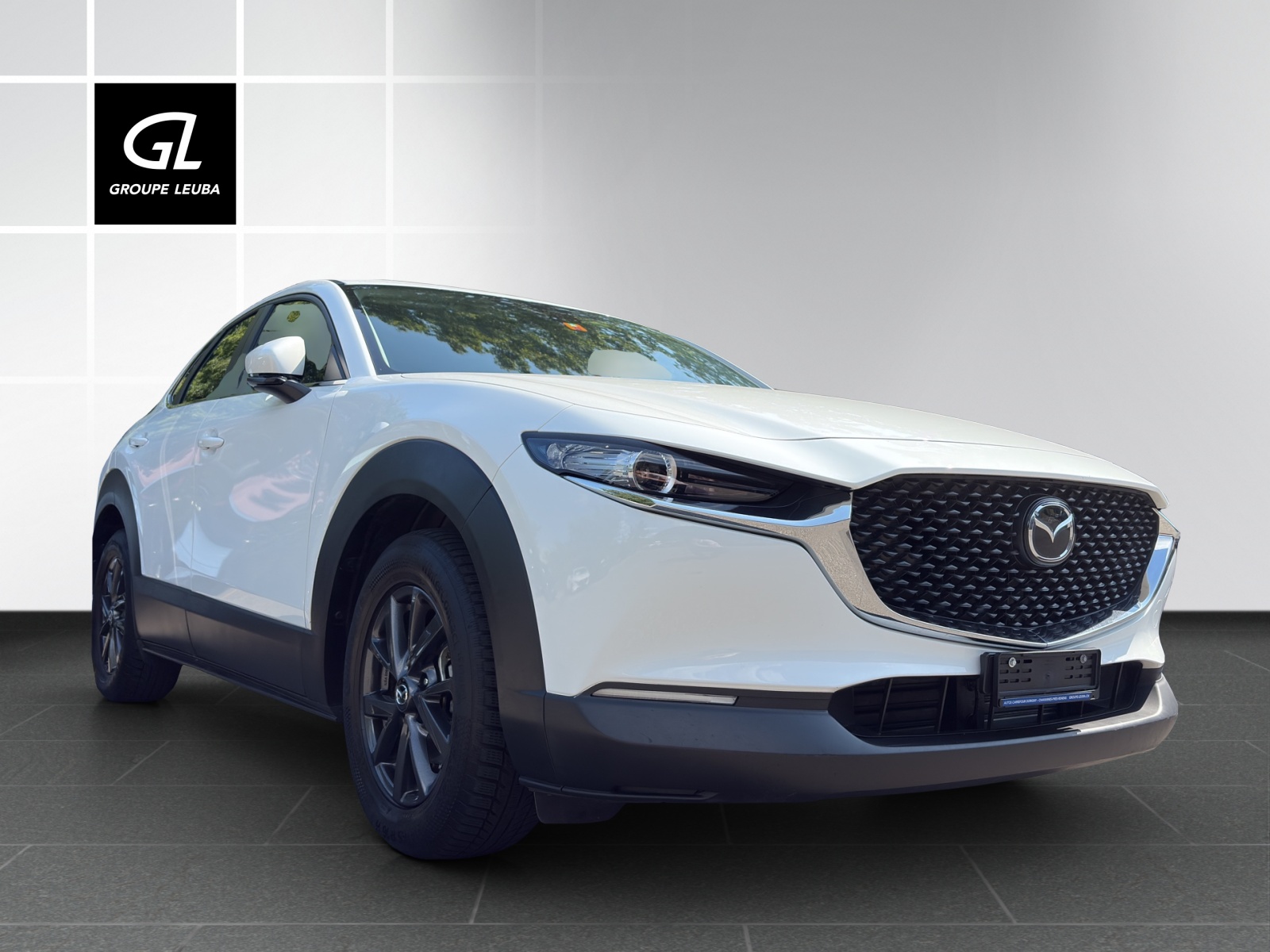 MAZDA CX-30 G 122 Ambition