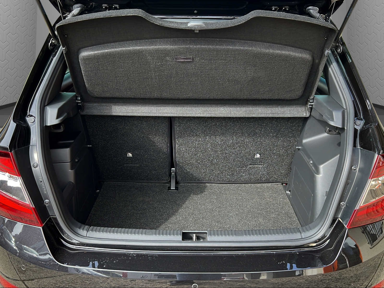 SKODA Fabia 1.0 TSI Monte Carlo-image-13