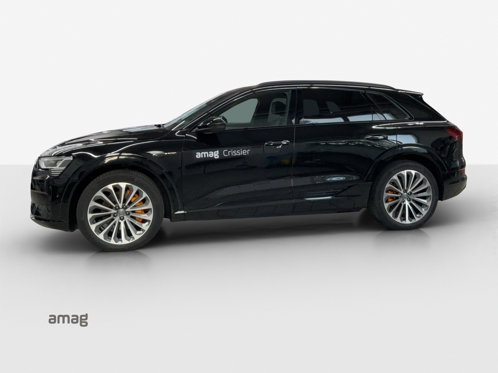 AUDI e-tron 55 Advanced quattro-showroom-element-1
