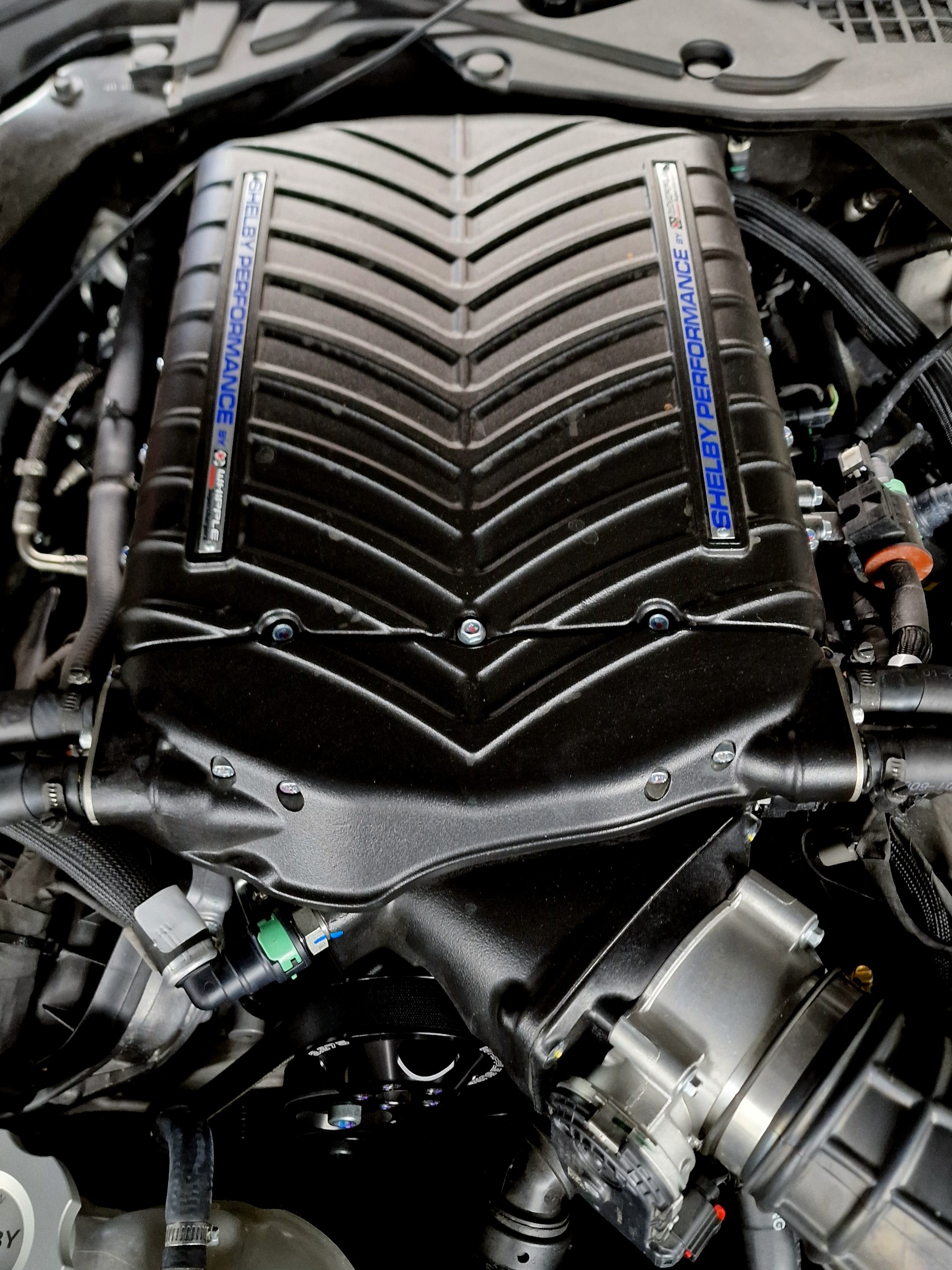 FORD MUSTANG GT Carrol Shelby Centennial Editon-image-12