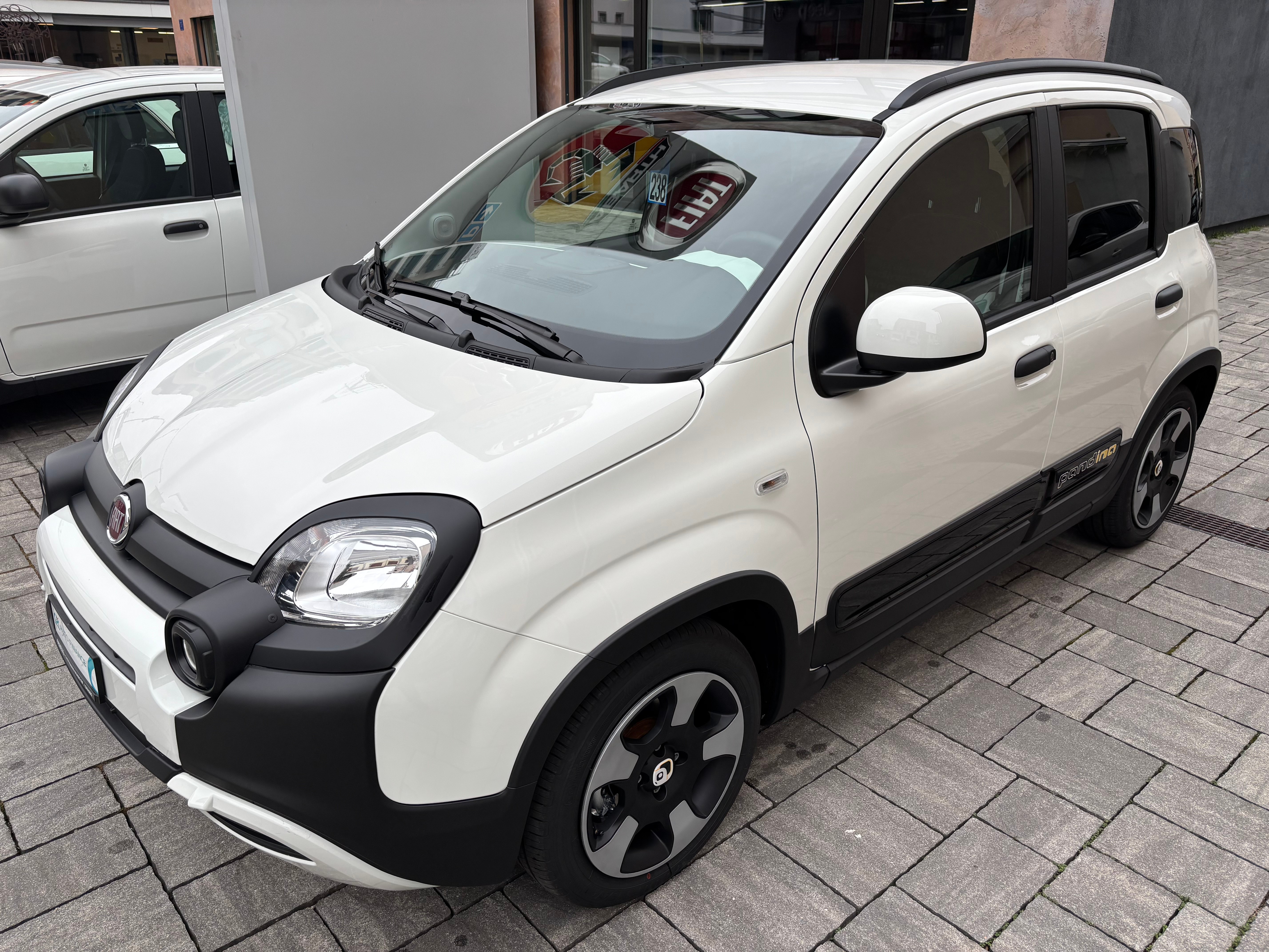 FIAT Panda 1.0 MHEV Cross "PANDINA" (Kleinwagen) Fiat FIAT Panda 1.0 MHEV Cross "PANDINA" (Kleinwagen)