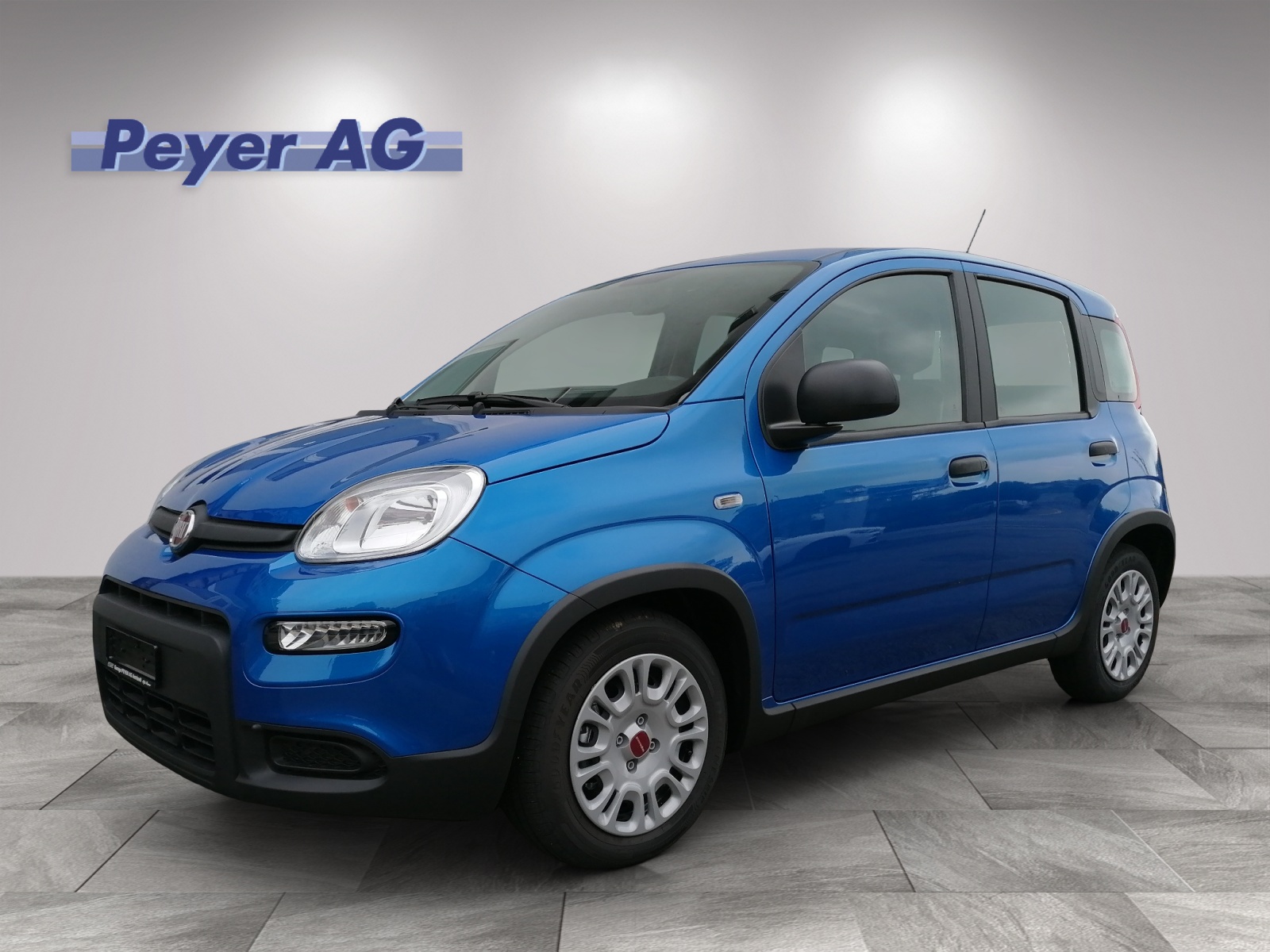 FIAT Panda 1.0 Hybrid Cult (Kleinwagen)