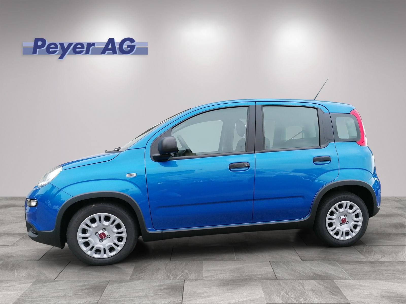FIAT Panda 1.0 Hybrid Cult (Kleinwagen)