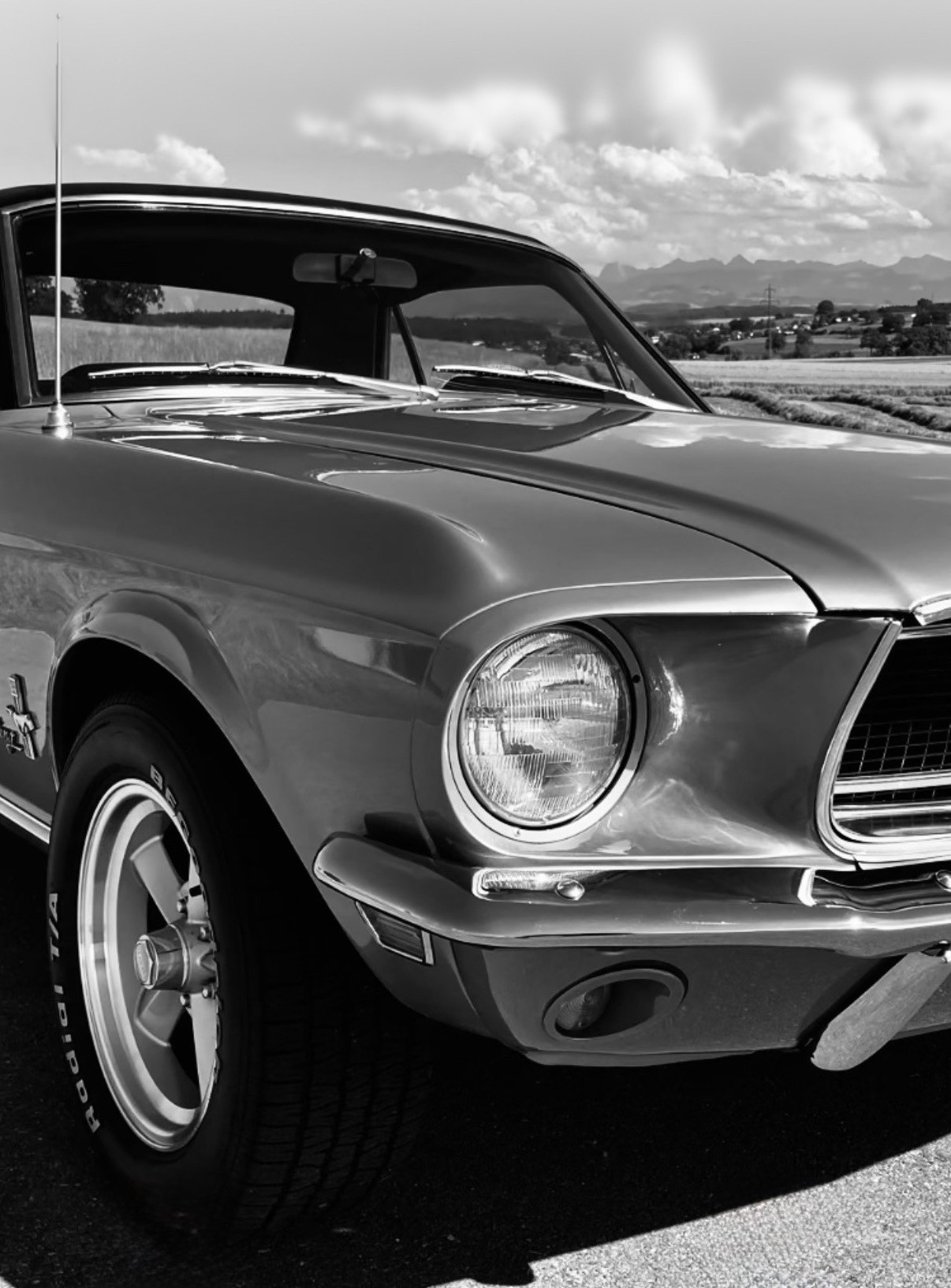 FORD Mustang 1968 V8 Veteran