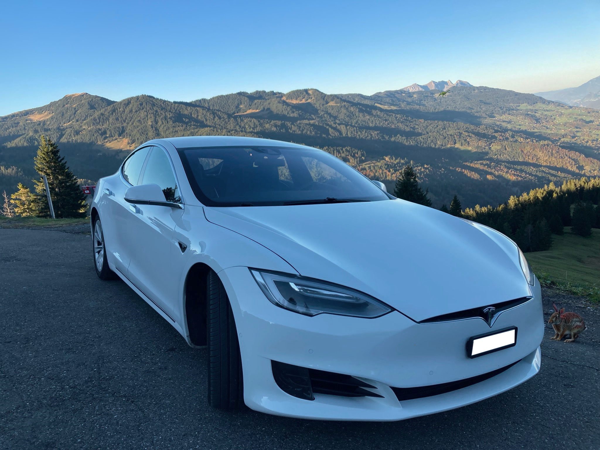 Tesla model s75d discount