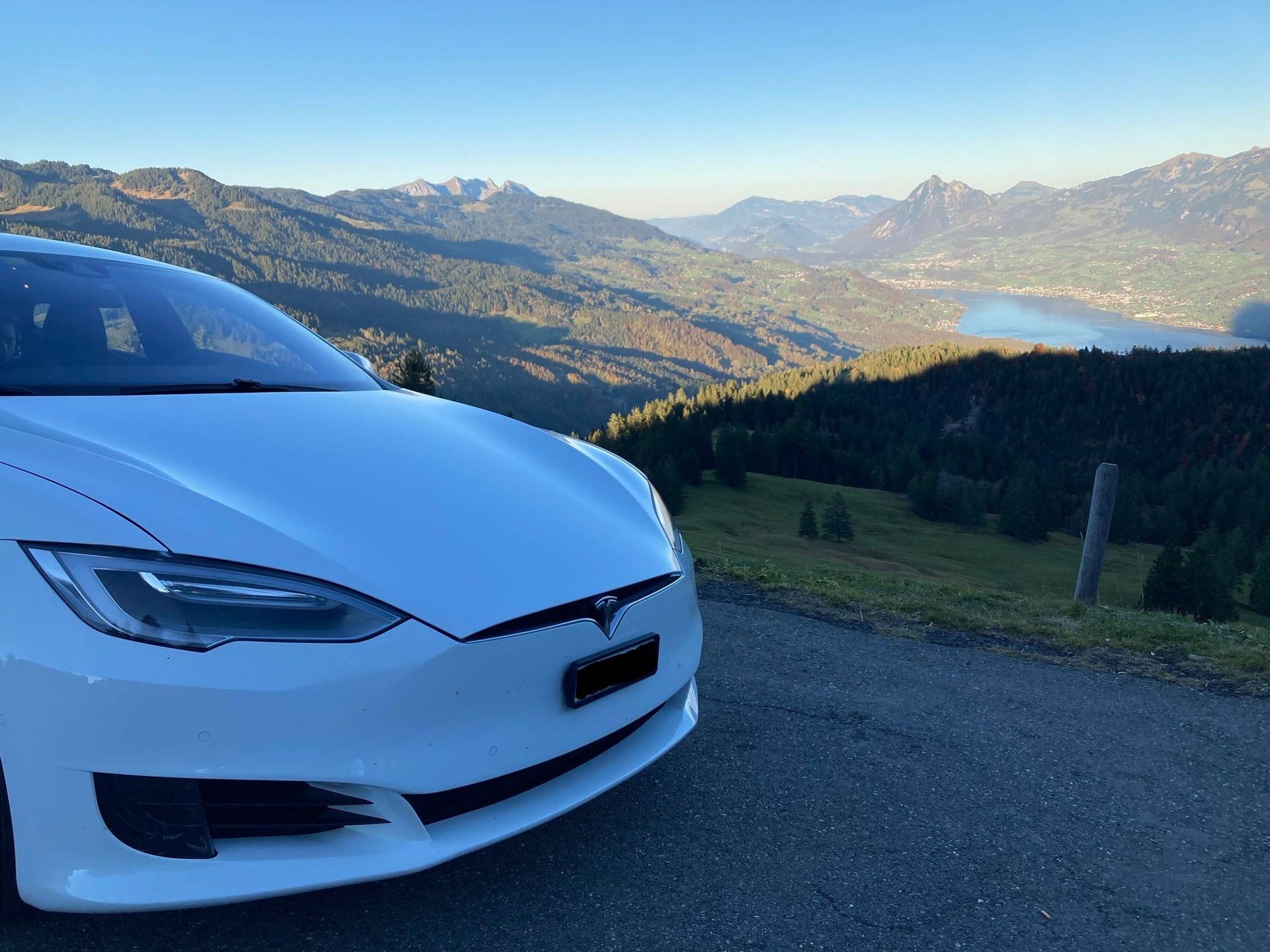 TESLA MODEL S S75D Kaufen