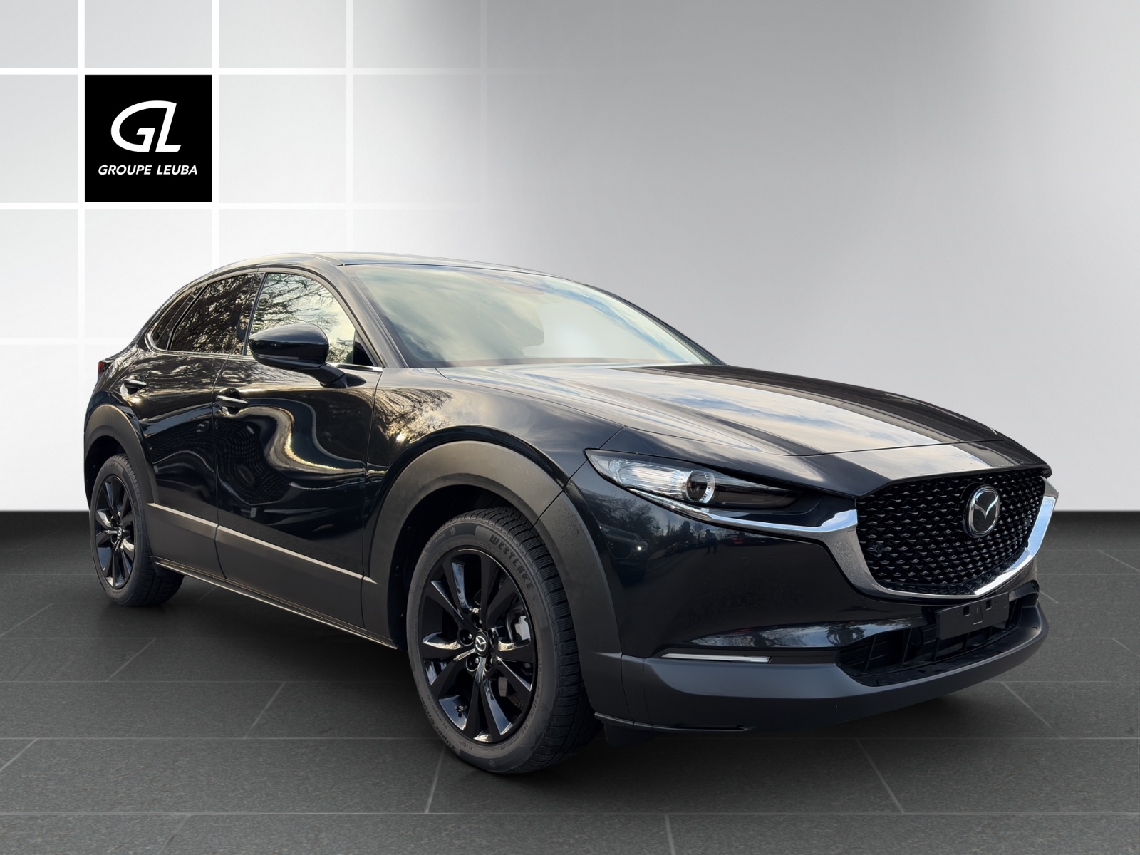 Photo MAZDA CX-30 CX-30 SKYACTIV-X 186 M Hybrid Homura AWD AT