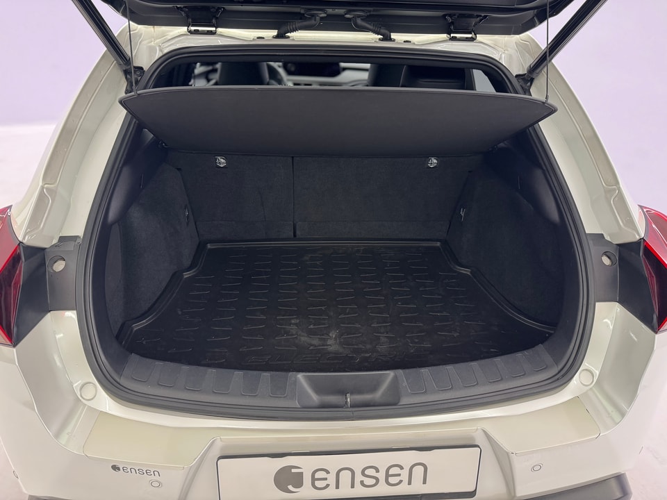 UX 300e Excellence Electric