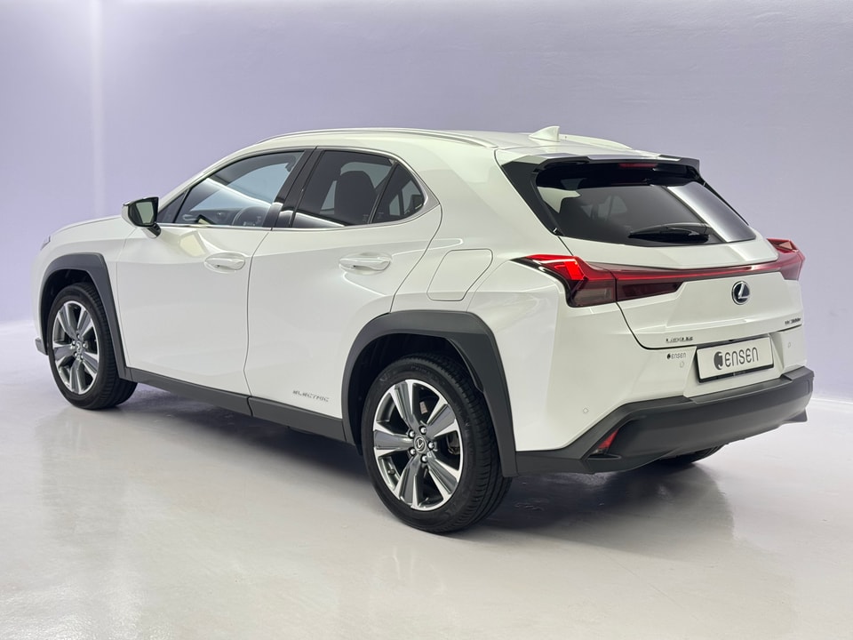 UX 300e Excellence Electric