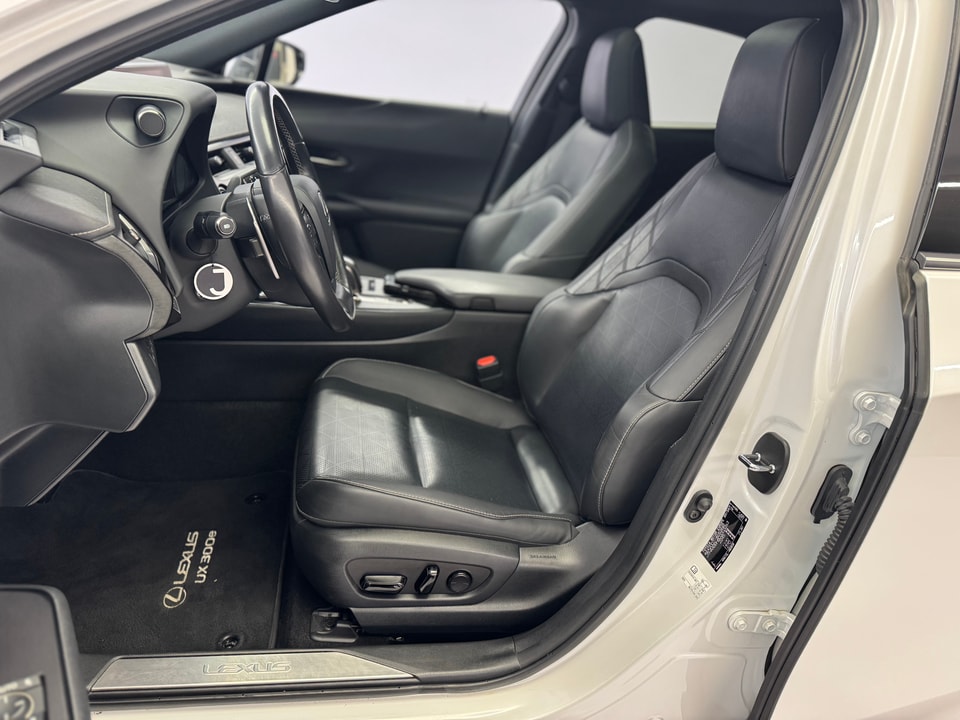 UX 300e Excellence Electric