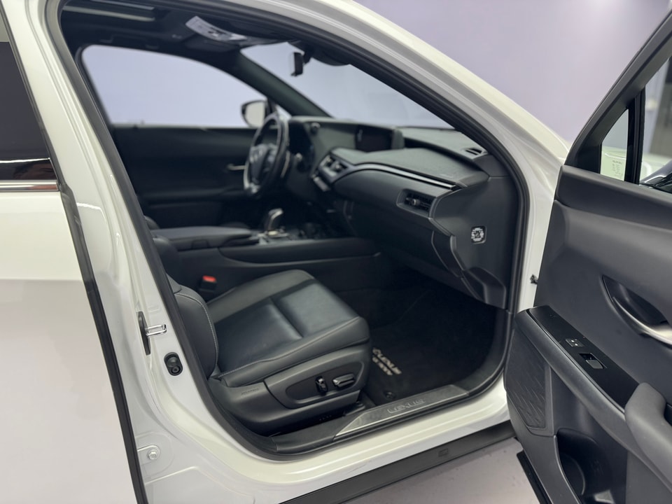 UX 300e Excellence Electric