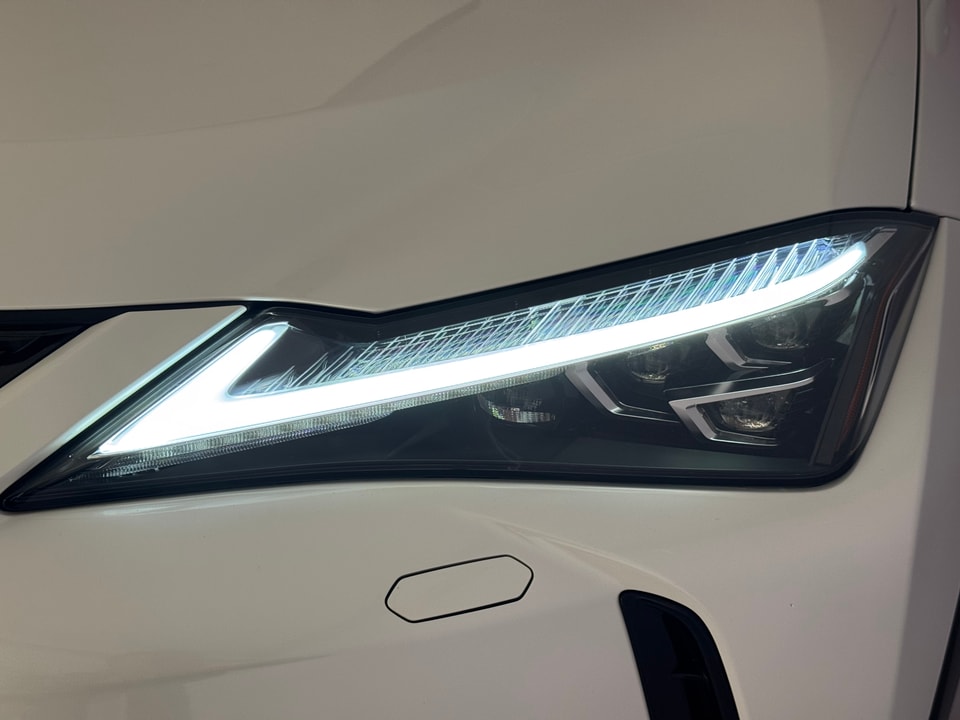 UX 300e Excellence Electric